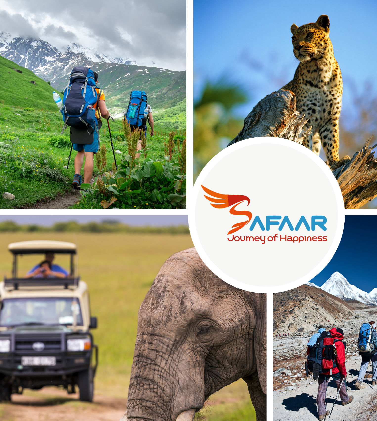 Adventurous Getaways: Trekking & Wildlife Packages