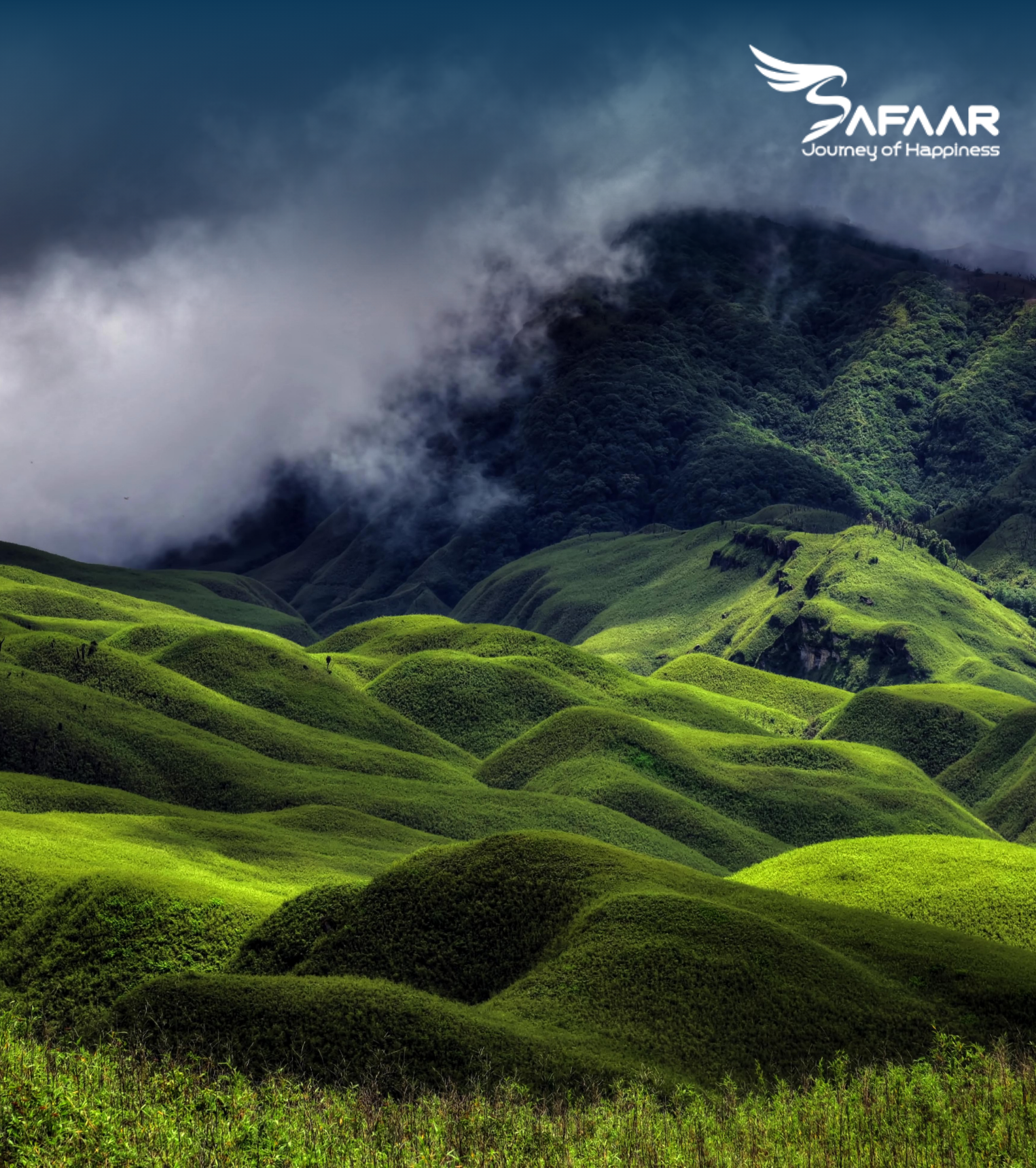Dzukou Valley, Nagaland