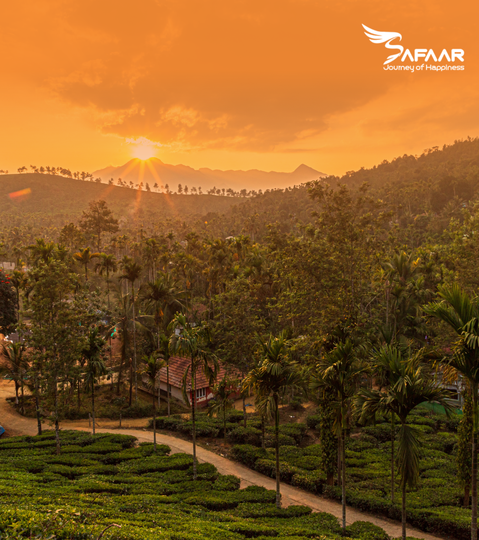 Wayanad, Kerala – Waterfalls, Forest Trails, and Wildlife