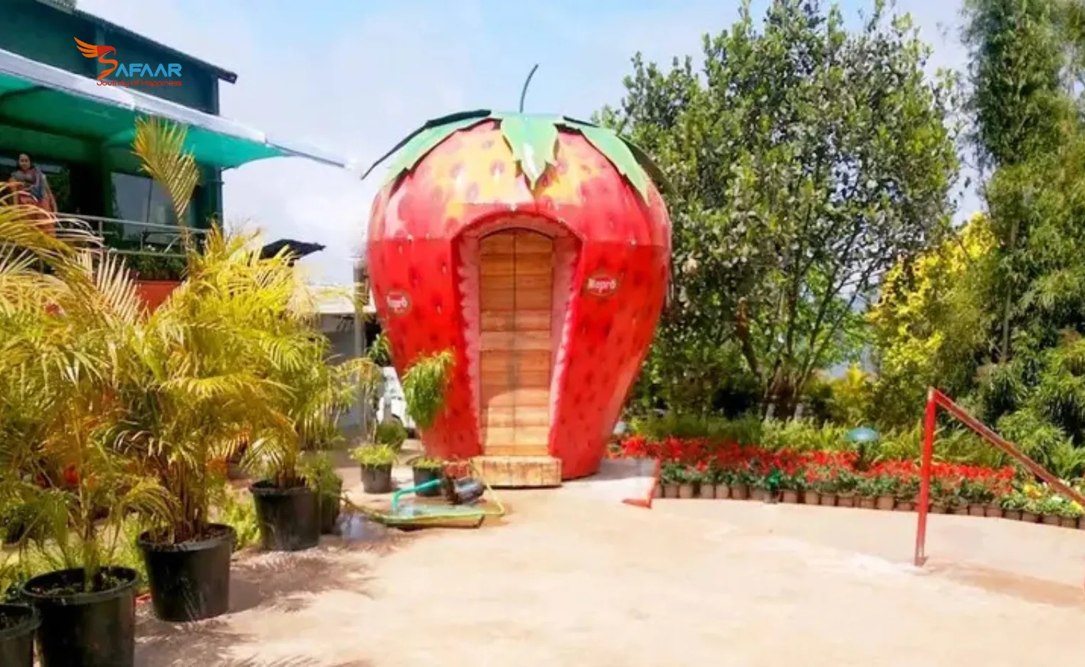 Mapro Garden