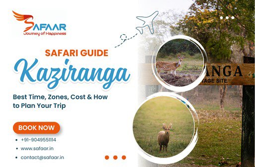 Kaziranga Safari Guide: Best Time, Zones, Cost & How to Plan Your Trip