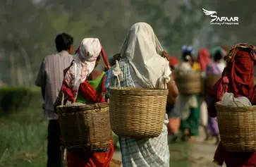 Assam Tour Packages