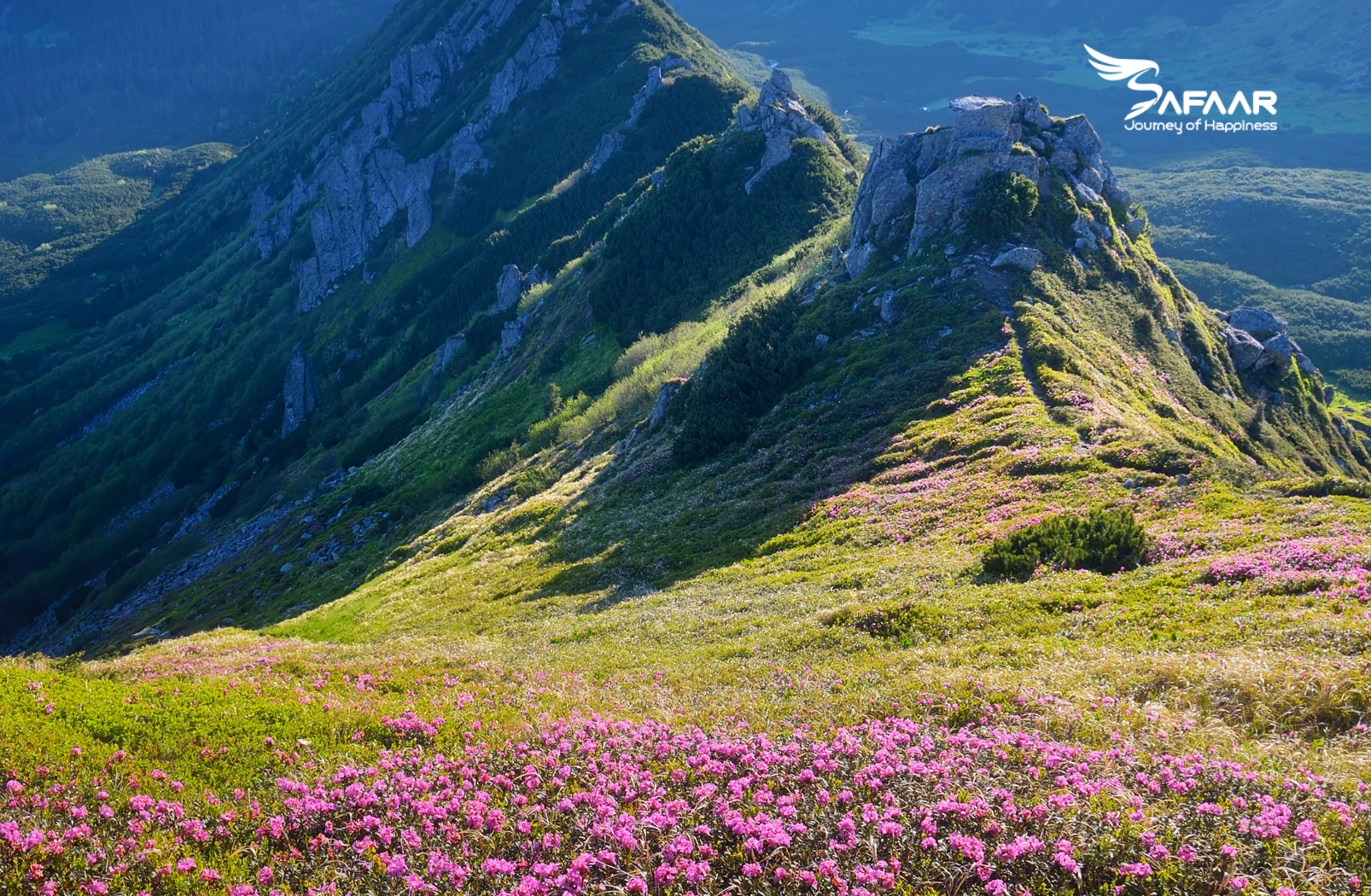 Valley of Flowers