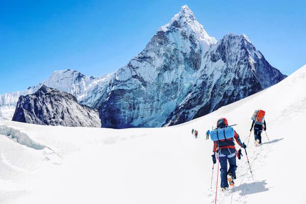 Safaar Travel Company