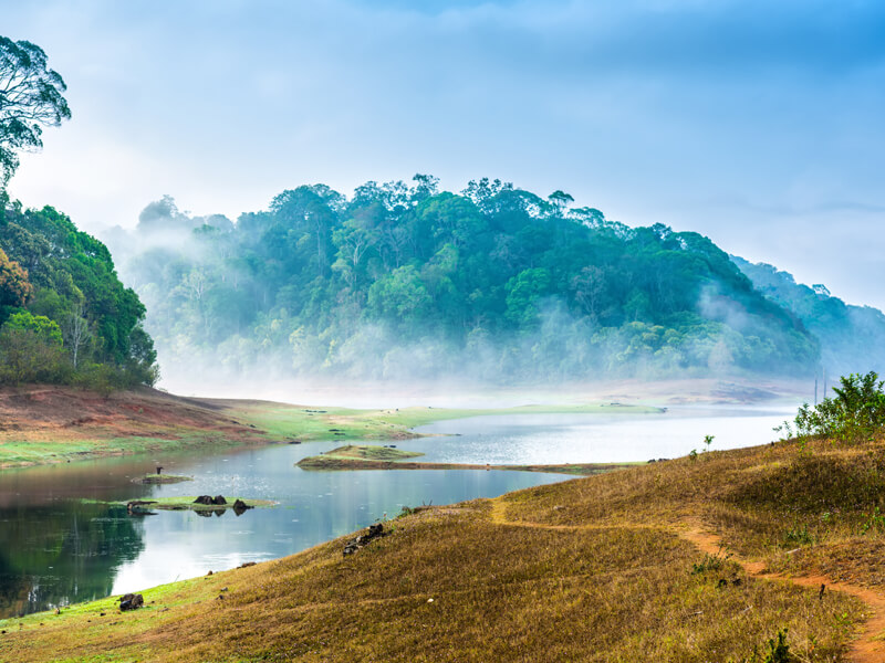 Nearest Airport To Periyar National Park www.safaar.in