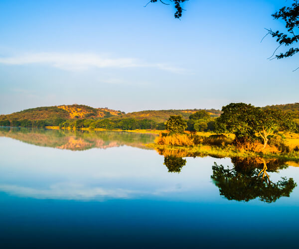 Wildlife packages